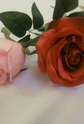 Yuyumeow S – Rose 100 yuan collection (58P)