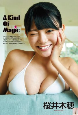 (Sakurai Kiho) The mixed round breasts are super attractive! I kneel with this figure (6P)