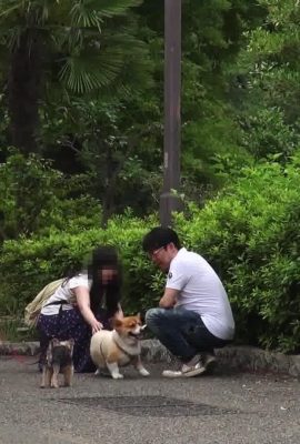 Let’s go picking up a cute dog – Sara Suwon (112P)