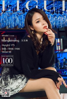 (Ligui) 20180127 Internet Beauty Model Wang Aimeng (102P)