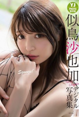 (Nitori Sayaga) She has a beautiful face and an unscientific big breast figure that is extremely tempting (27P)