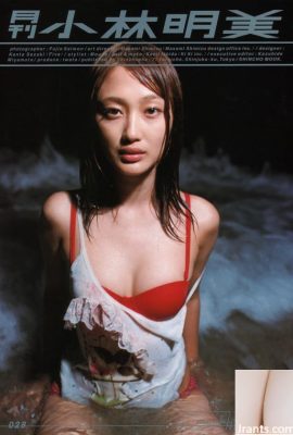 Akemi Kobayashi (Photo Album) (Monthly シリーズ028) – Monthly 028 (57P)