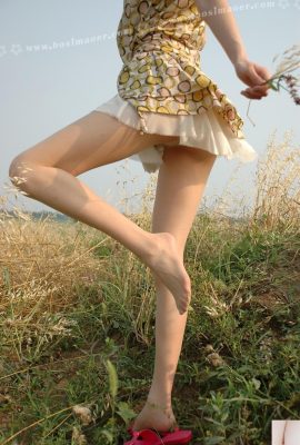 (Persian Cat) VIP Wardrobe with Beautiful Legs and Stockings-Yellow Flower Skirt and Red Sandals (104P)