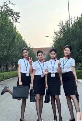 Beautiful stewardess life collection