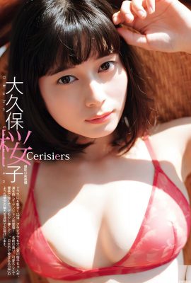 (Okubo Sakurako) She has big breasts and looks good in a bikini (11P)