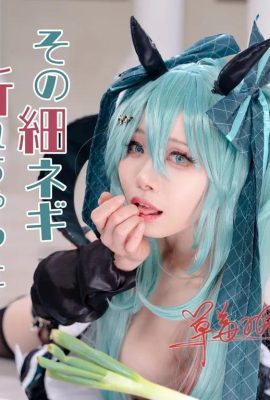 Hatsune Miku: Did that thin leek break?