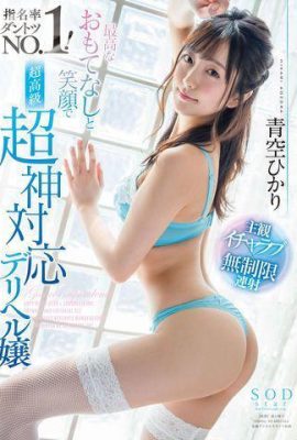 Aozora Hikari – The Best Hospitality and Smile (20P)