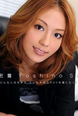 Yoshino Sally “Naked Resume No.9 (13P)