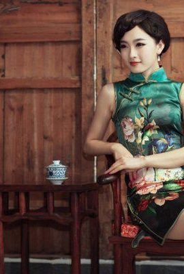 Oil painting of charming cheongsam beauty (8P)