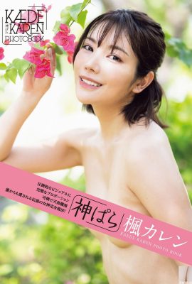 (Japanese model set) Maple Blossom Love “Kami ぱら” (102P)