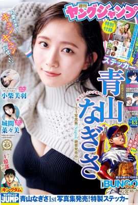 (Aoyama Nana) The innocent face is quite eye-catching and fascinating (10P)