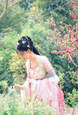 Every year – Haitangxian (84P)