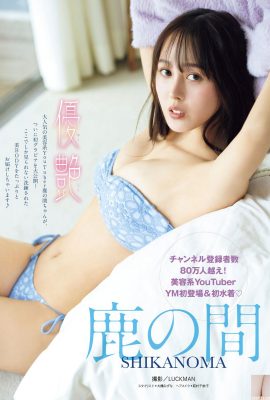 (Deer’s Day) The graceful S curve challenges everyone’s rational line (16P)
