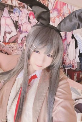 (Stupid) Mai Sakurajima Mai (27P)
