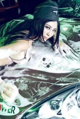 Model characteristics interpretation of car wash MM (12P)