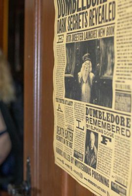 [Suicide Girls] May 29, 2025 – Babybi – Thestrals [41P]