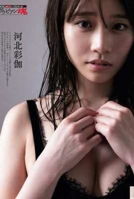 (Hebei Caijia) The hot goddess’s eyes are charming and sexy (10P)