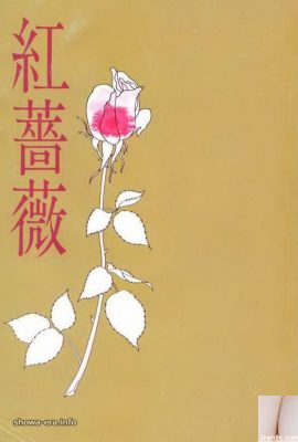 Porn star in Ura-Books Red Rose (59P)