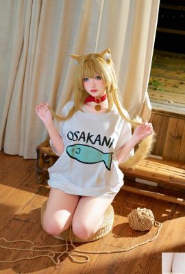 (Online collection) Ah Xun kaOri – Cat Soybean Powder (172P)