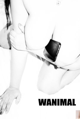 (Wang Dong’s work) Wang Dong) WANIMAL Tumblr photo collection (105) (50P)